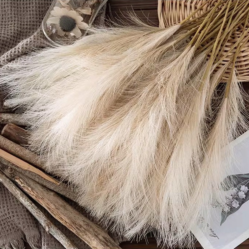 Pampas Grass Decor - 5PCS/set Bunga Buatan Dekorasi Rumput Pampas