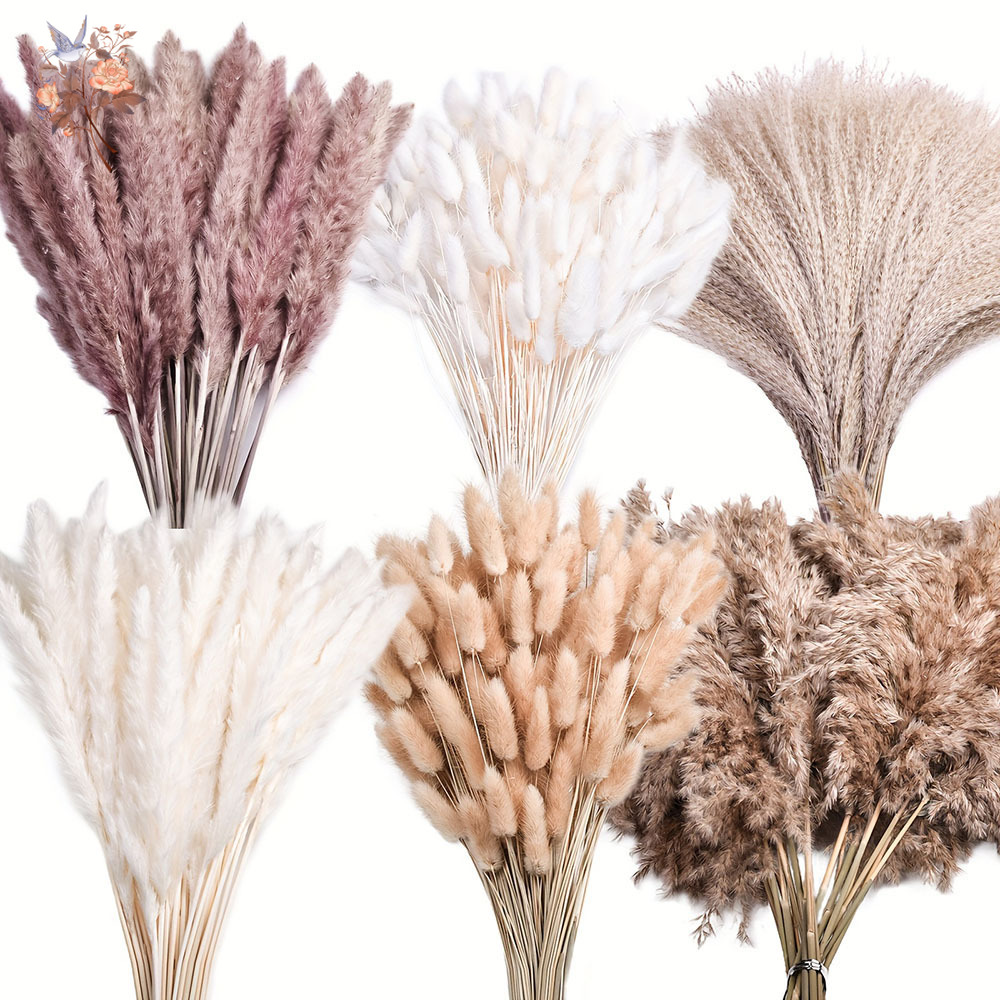 Pampas Grass Decor - 320PCS Campuran Bunga Pampas Besar Berbulu,