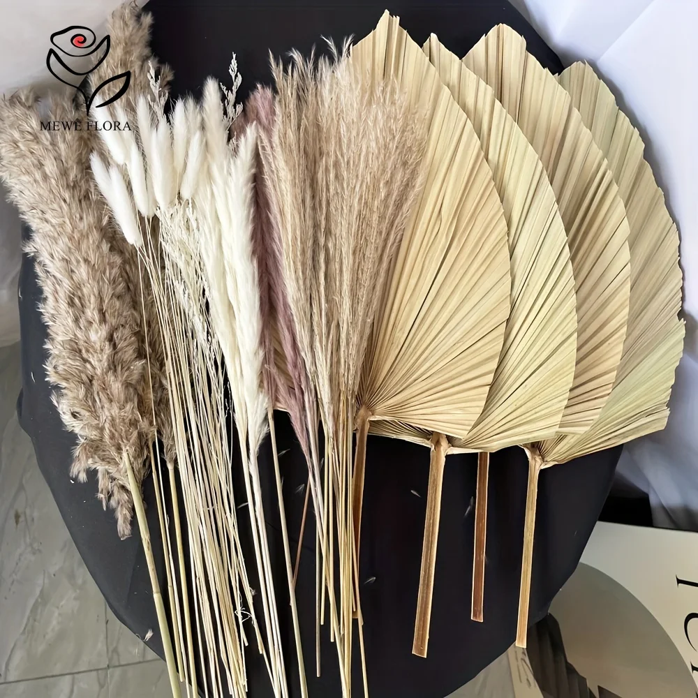 Pampas Grass Decor - 35 buah rumput Pampas alami Boho