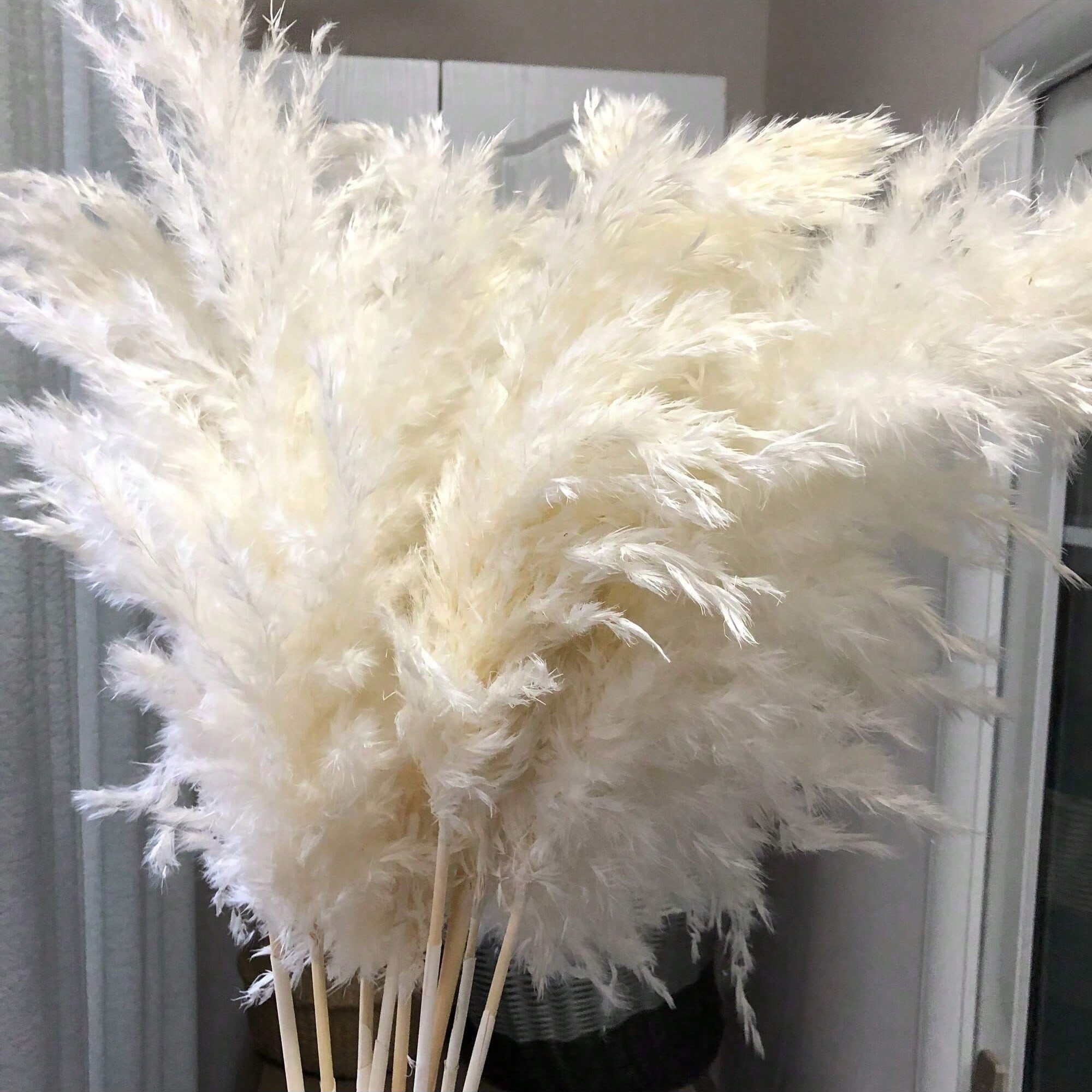Pampas Grass Decor - 10/20/30 Buah Dekorasi Rumput Pampas Buatan
