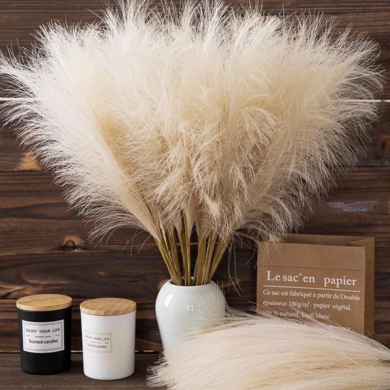 5PCS/set Bunga Buatan Dekorasi - Pampas Grass Decor ulasan dan harga