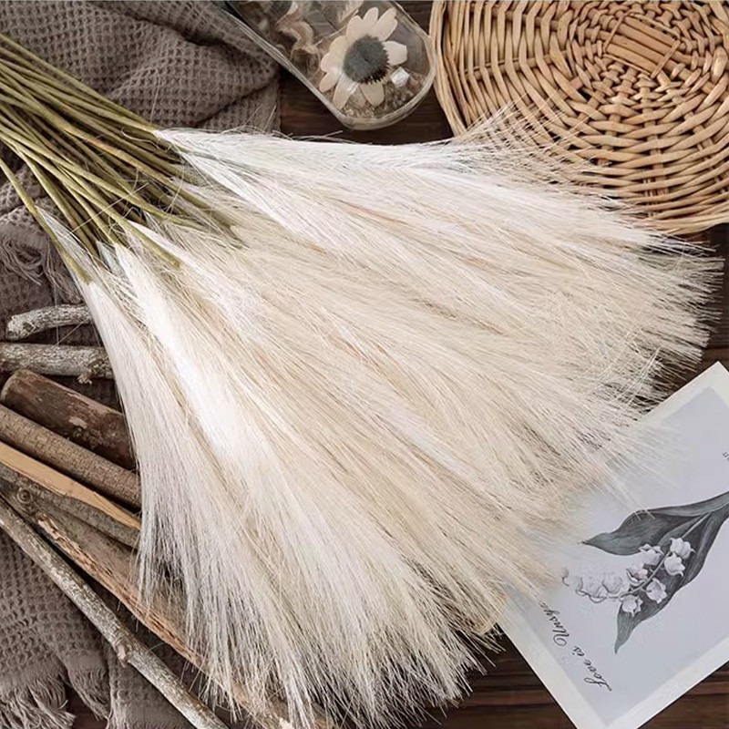 5PCS/set Bunga Buatan Dekorasi - Pampas Grass Decor ulasan dan harga