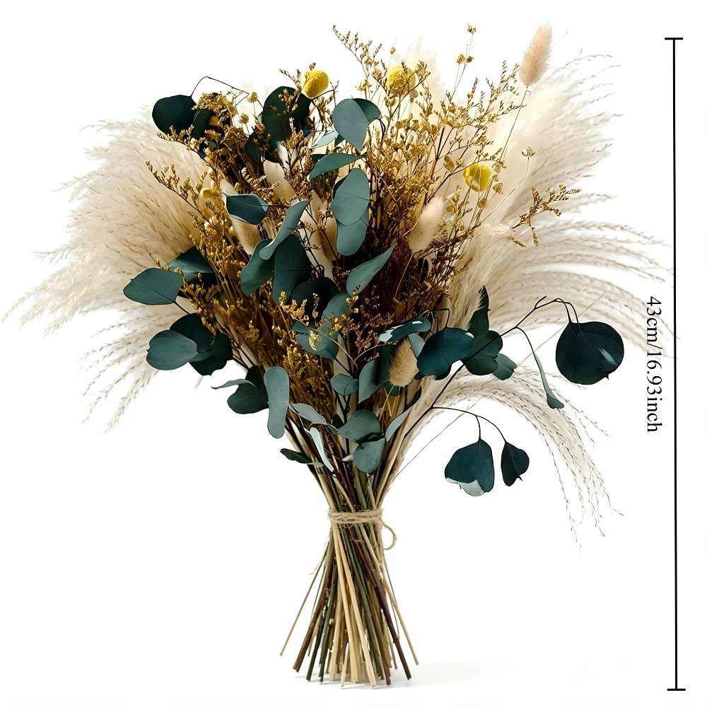 Buket Rumput Pampas Kering Ala - Pampas Grass Decor ulasan dan harga