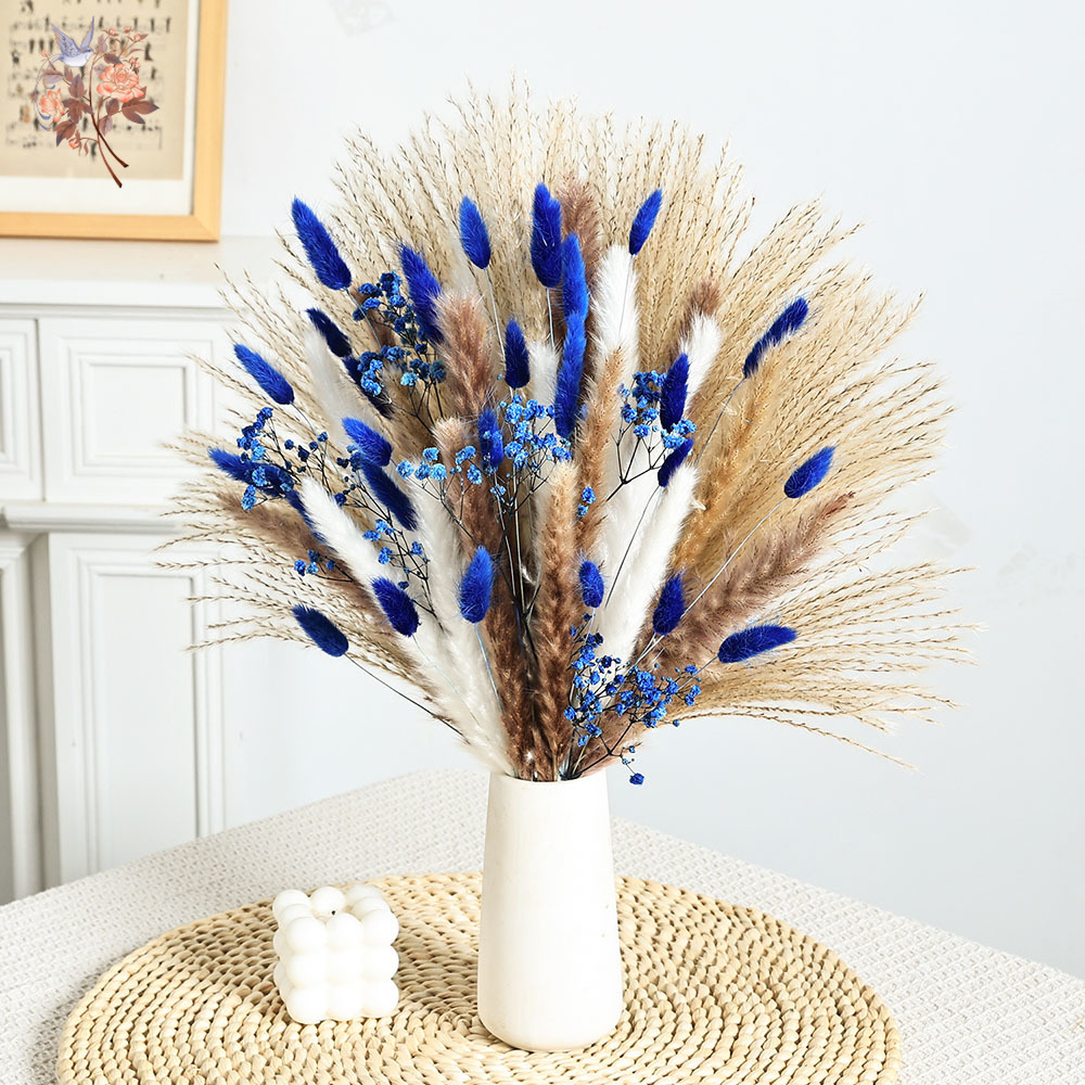 70 Batang Biru Berbulu Ekor Ke - Pampas Grass Decor ulasan dan harga