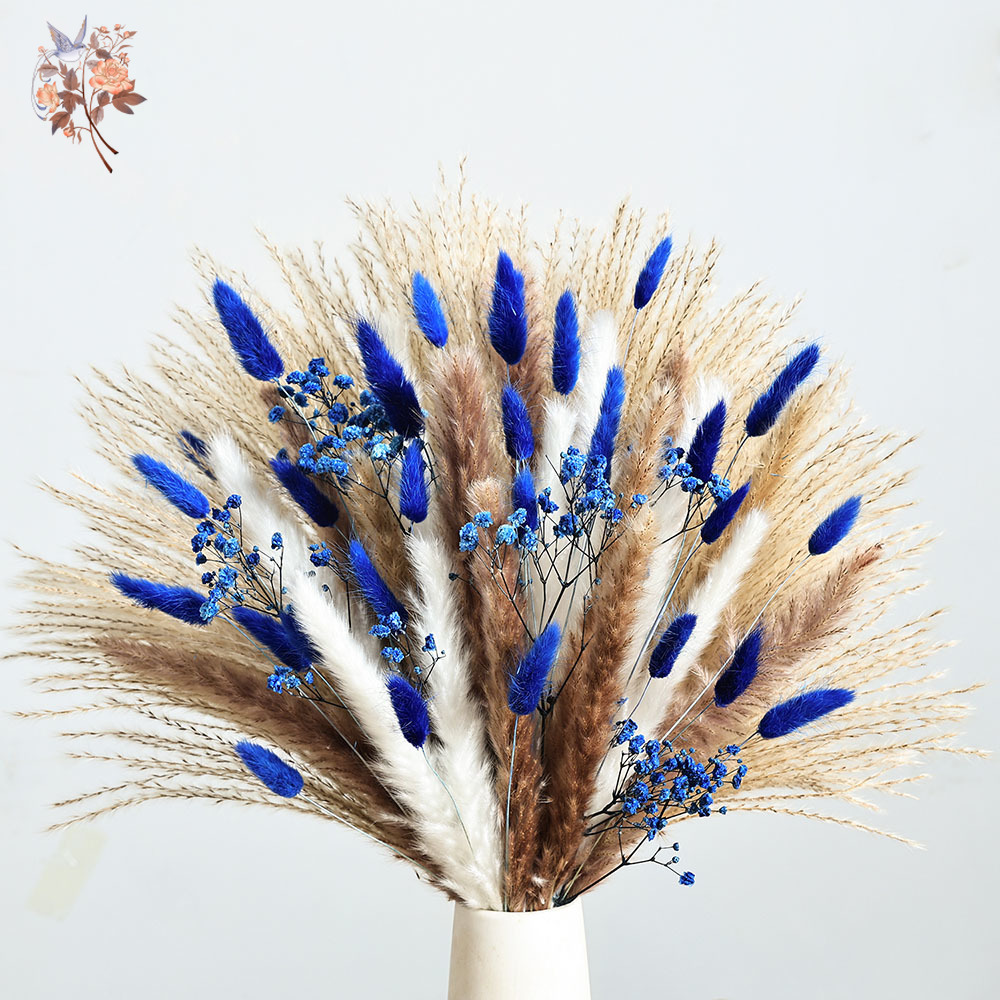 70 Batang Biru Berbulu Ekor Ke - Pampas Grass Decor ulasan dan harga