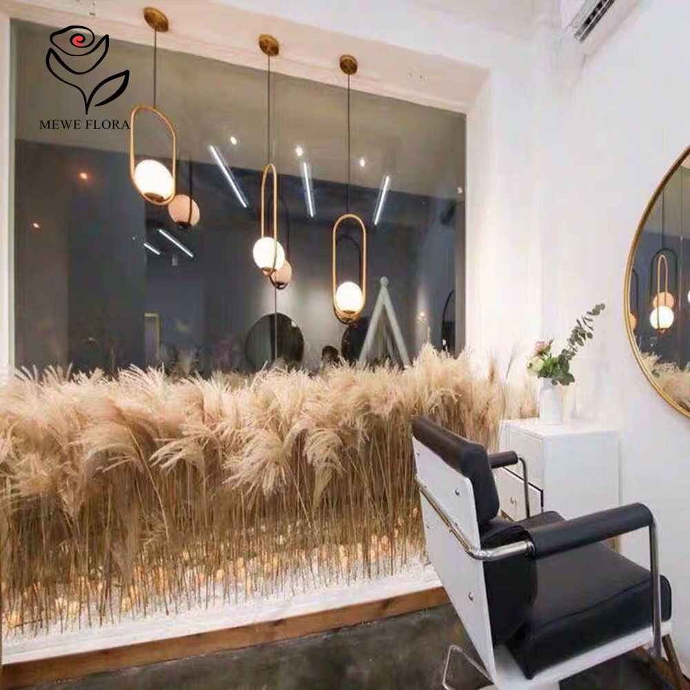 200 Buah Buket Bunga Buluh Hal - Pampas Grass Decor ulasan dan harga