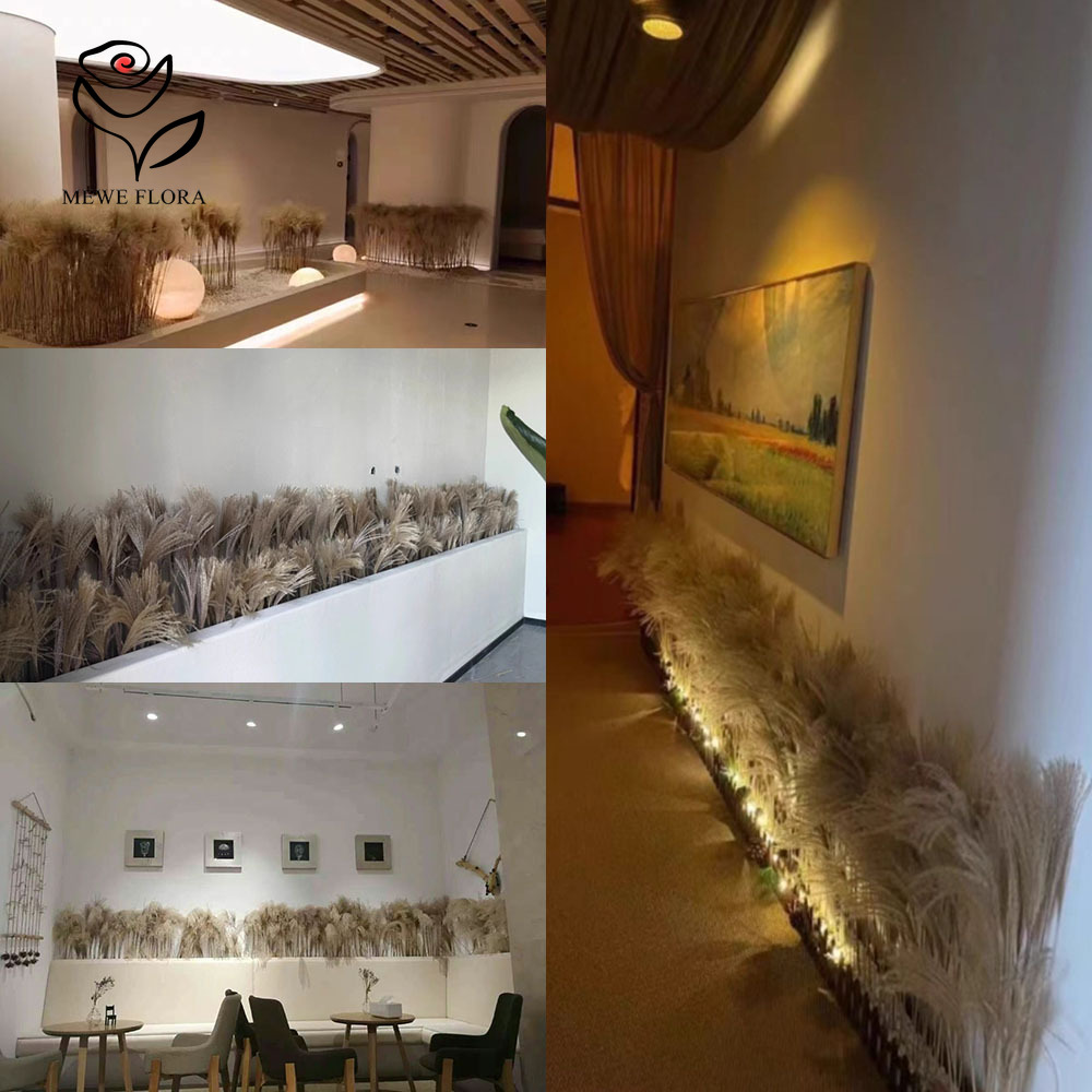 200 Buah Buket Bunga Buluh Hal - Pampas Grass Decor ulasan dan harga