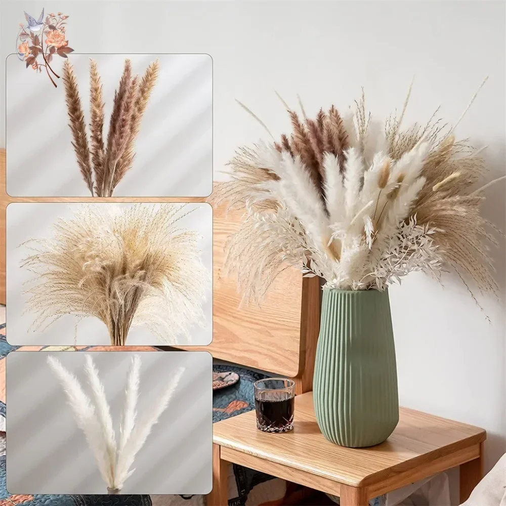 88pcs Rumput Pampas Kering Ala - Pampas Grass Decor ulasan dan harga
