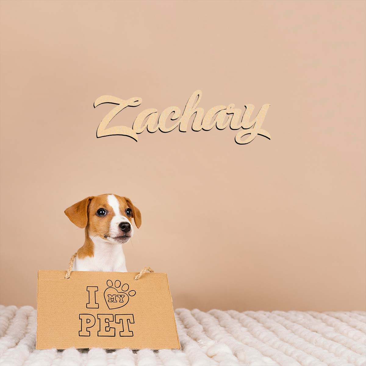 1 buah dekorasi rumah Zachary  - Home Decor Examples ulasan dan harga
