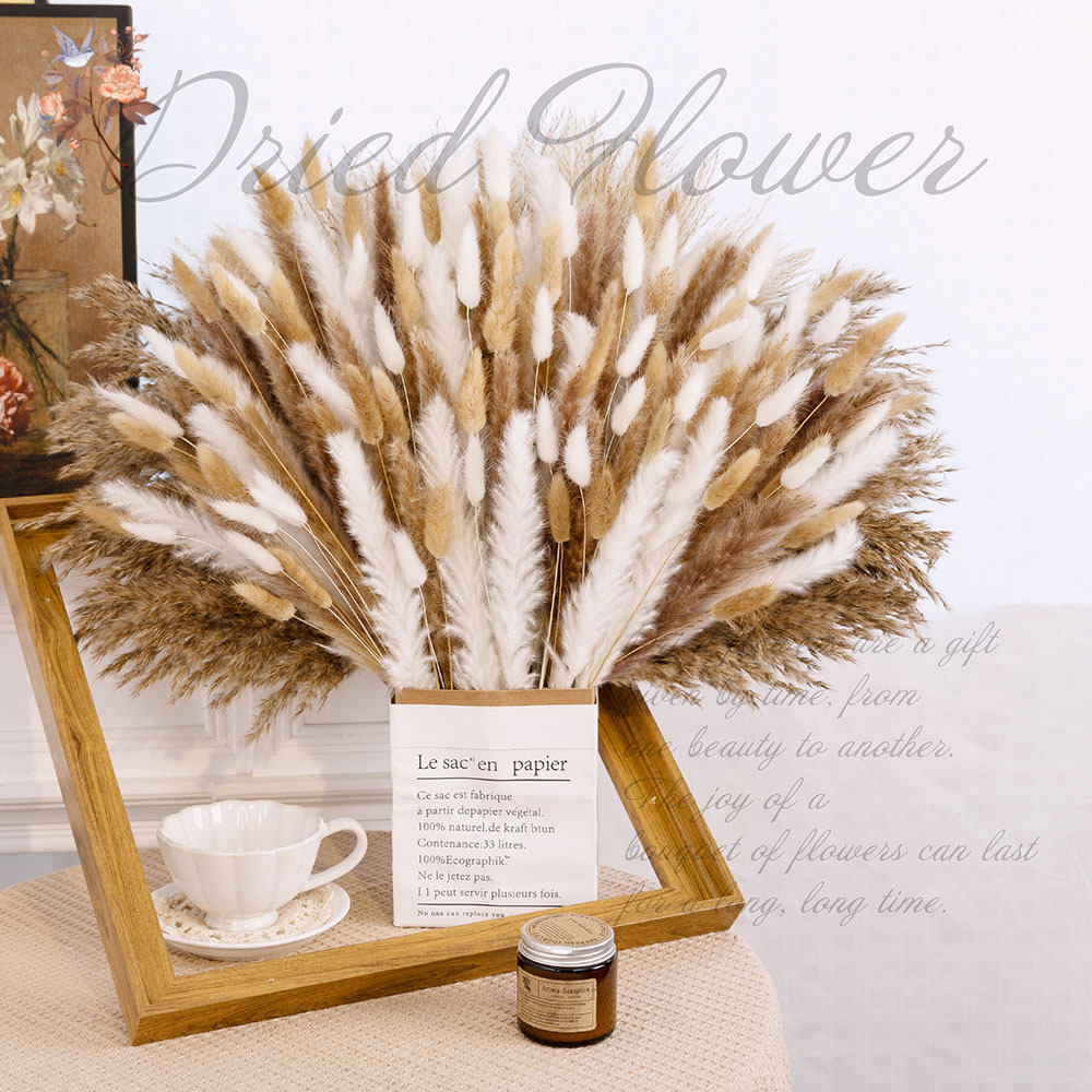 320PCS Campuran Bunga Pampas B - Pampas Grass Decor ulasan dan harga