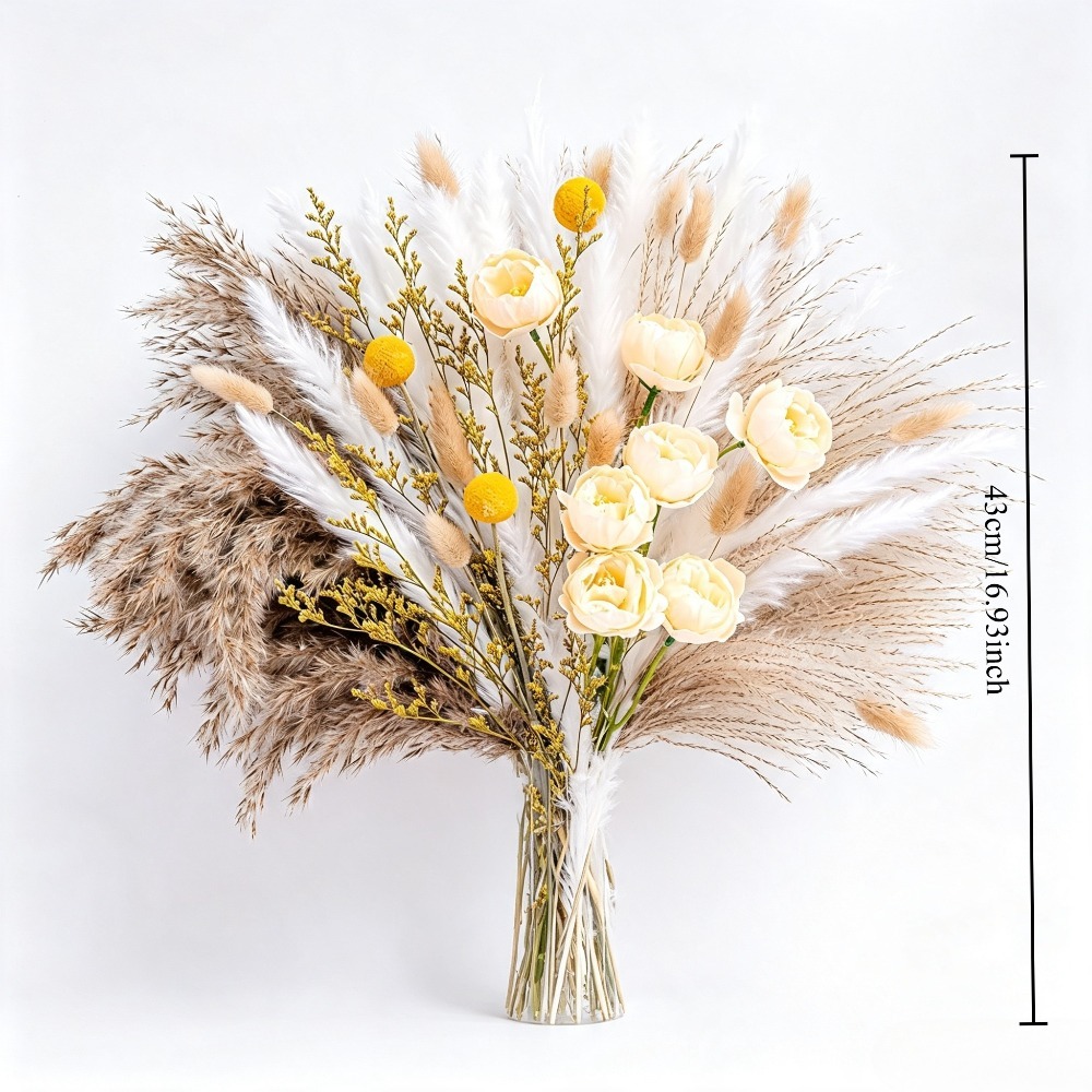 Buket Bunga Kering Campuran, R - Pampas Grass Decor ulasan dan harga