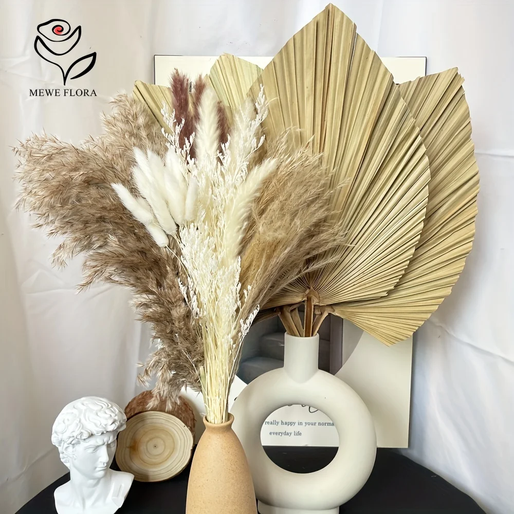 35 buah rumput Pampas alami Bo - Pampas Grass Decor ulasan dan harga