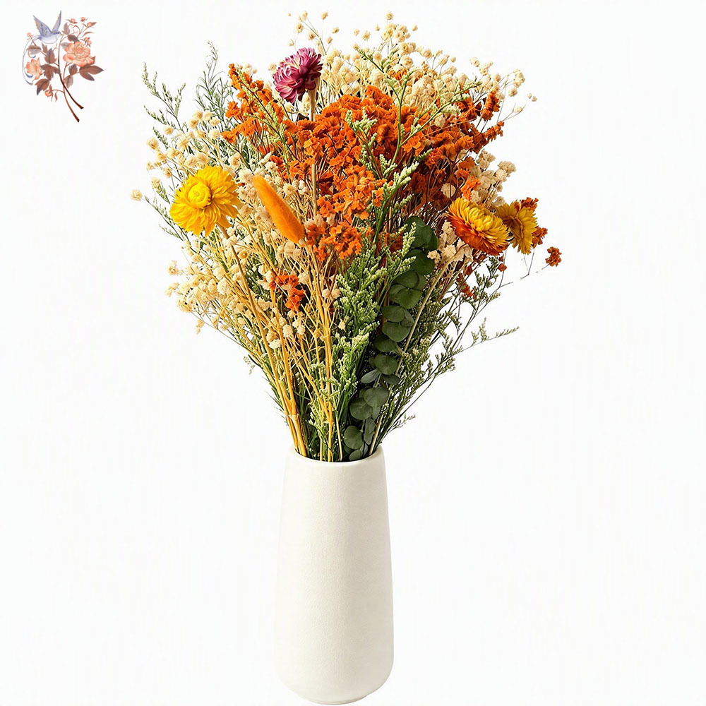 Buket Bunga Kering Musim Gugur - Pampas Grass Decor ulasan dan harga