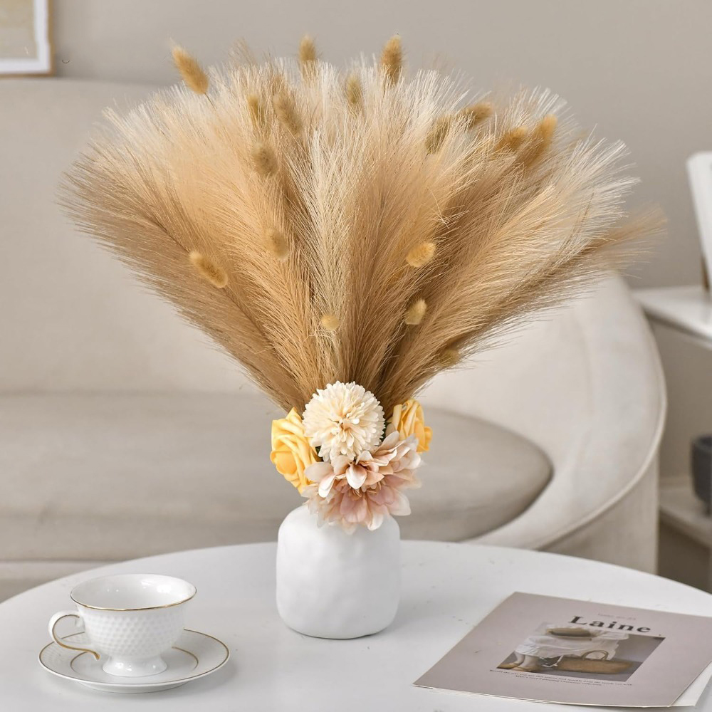 15 Buah Rumput Pampas Batang B - Pampas Grass Decor ulasan dan harga