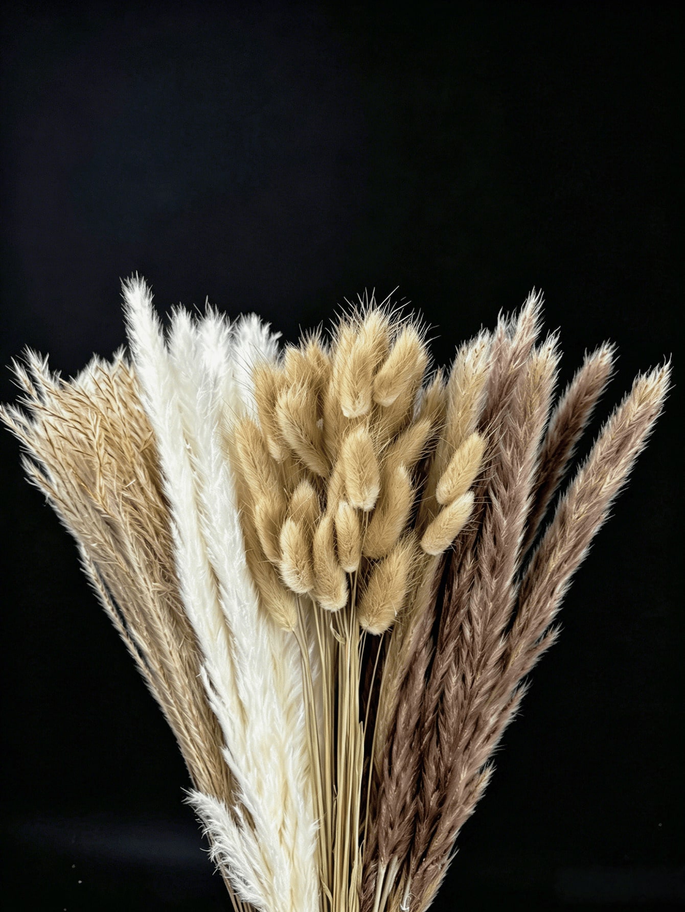 10/20/30 Buah Dekorasi Rumput  - Pampas Grass Decor ulasan dan harga