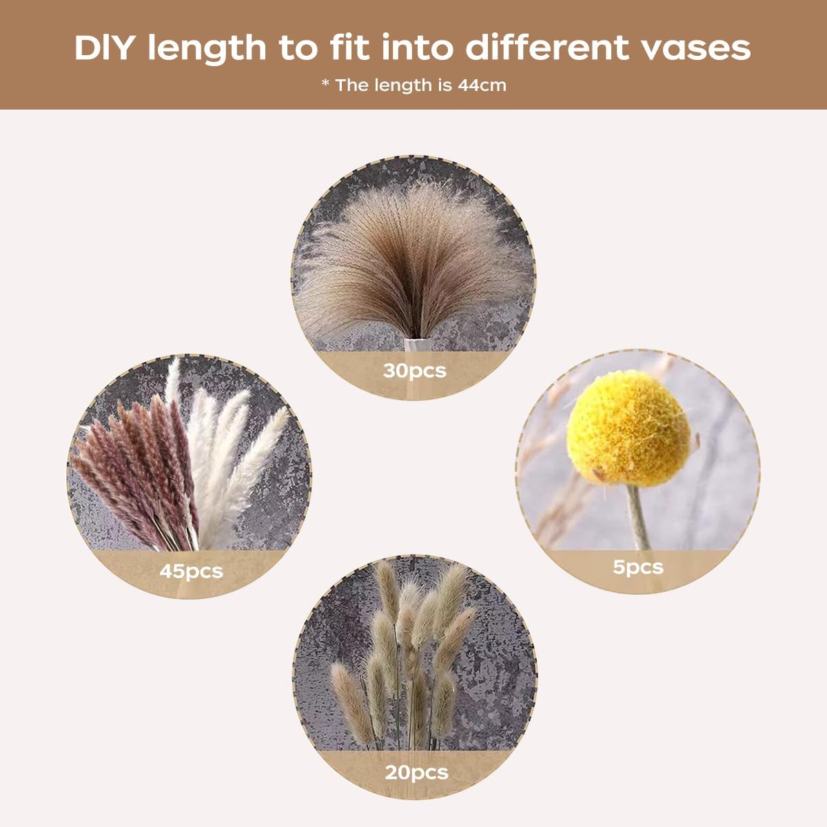 Buket Rumput Pampas Kering Bun - Pampas Grass Decor ulasan dan harga