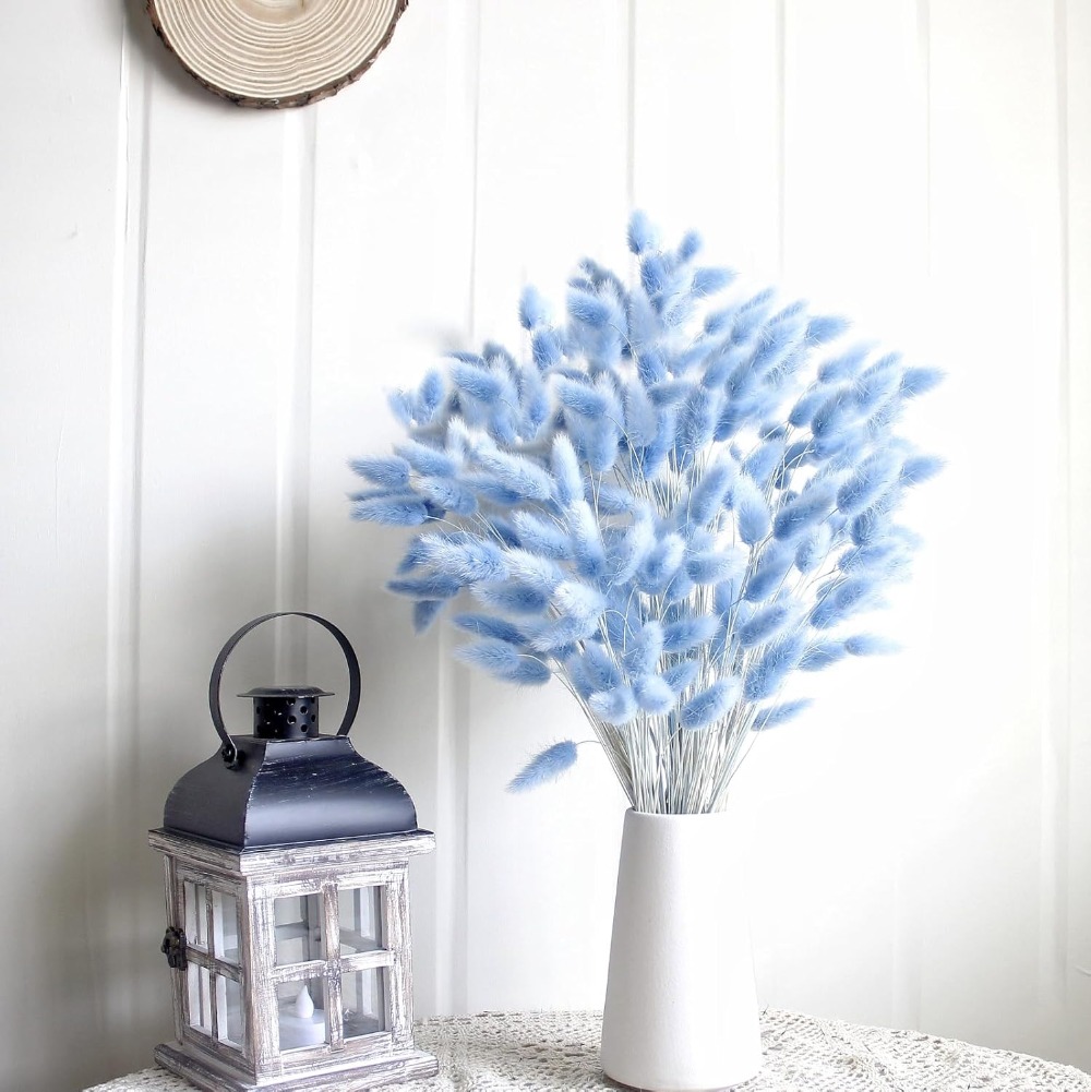 100 Buah Ekor Kelinci Biru Rum - Pampas Grass Decor ulasan dan harga