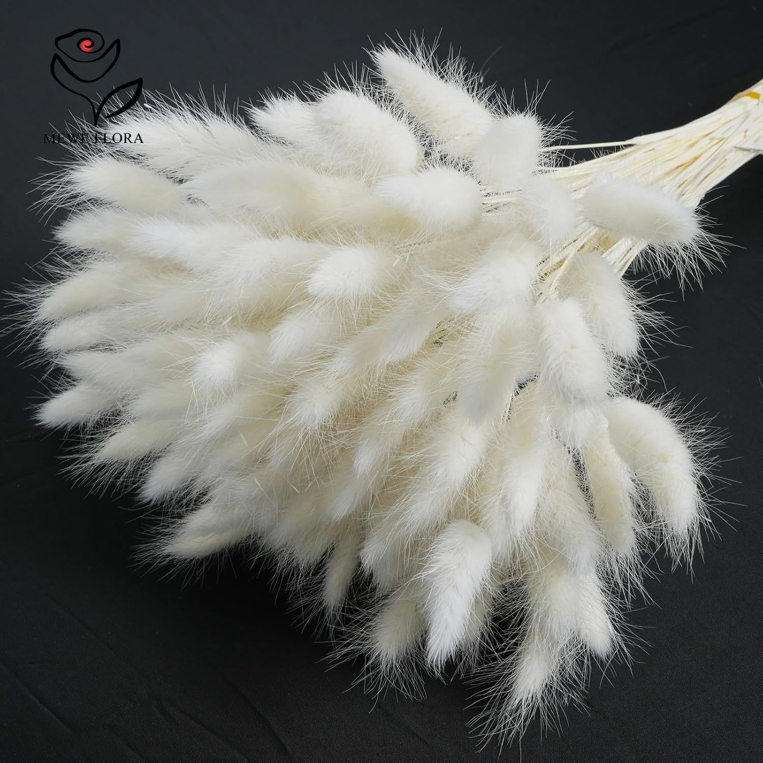 150PCS Ekor Kelinci Alami Puti - Pampas Grass Decor ulasan dan harga