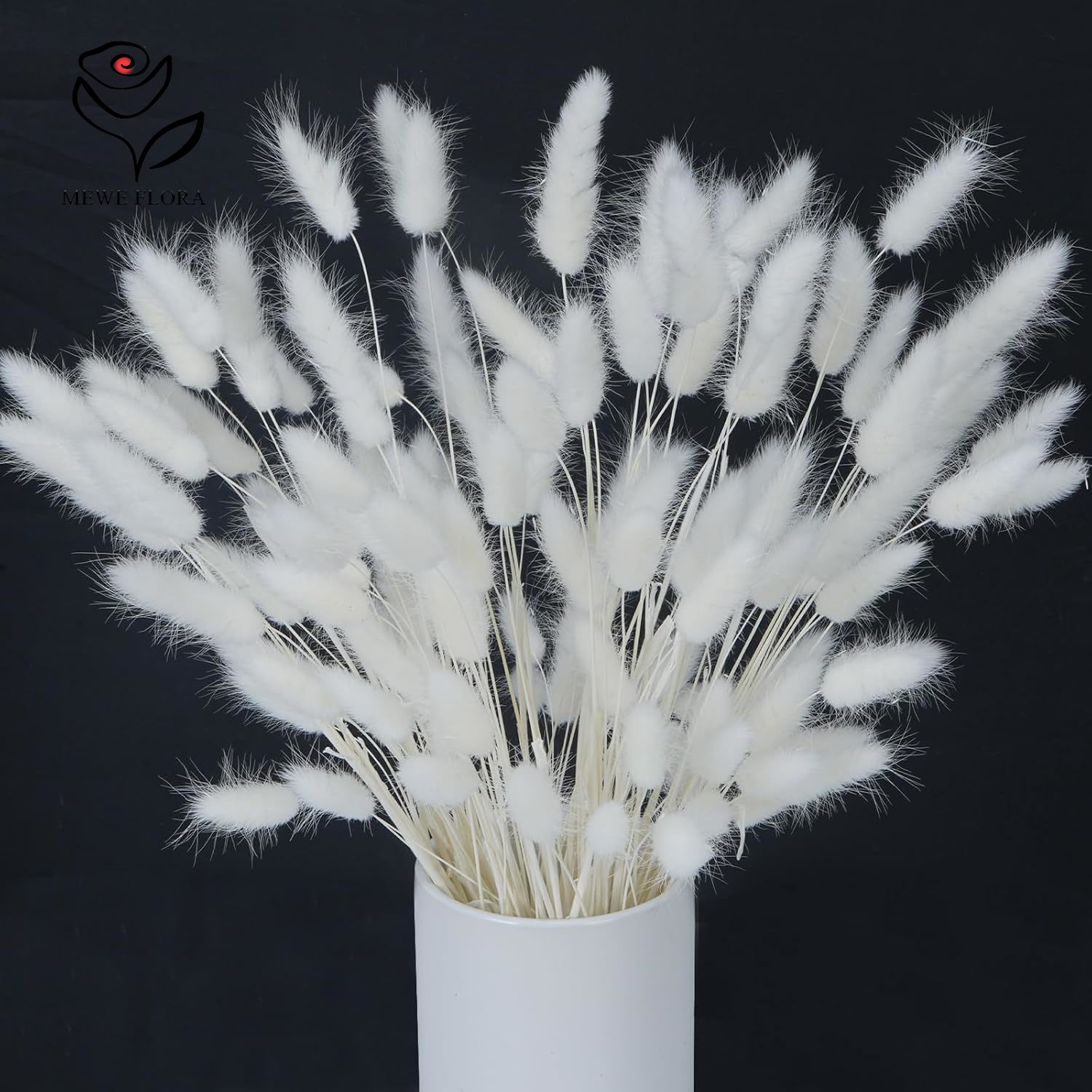 150PCS Ekor Kelinci Alami Puti - Pampas Grass Decor ulasan dan harga